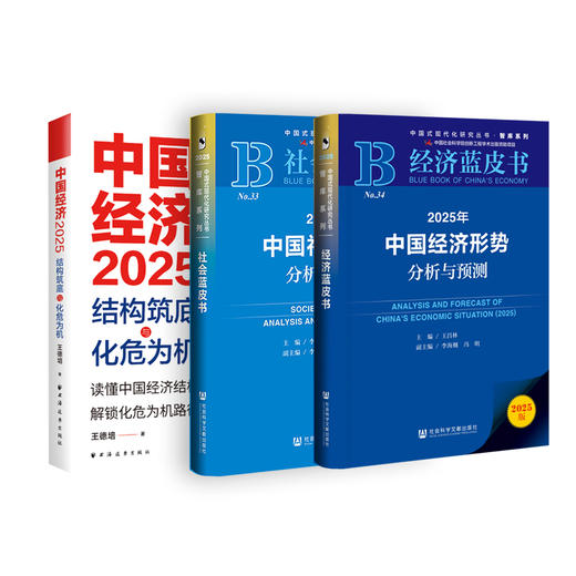 2025年中国经济形势分析与预测+2025年中国社会形势分析与预测+中国经济.2025:结构筑底与化危为机 商品图0