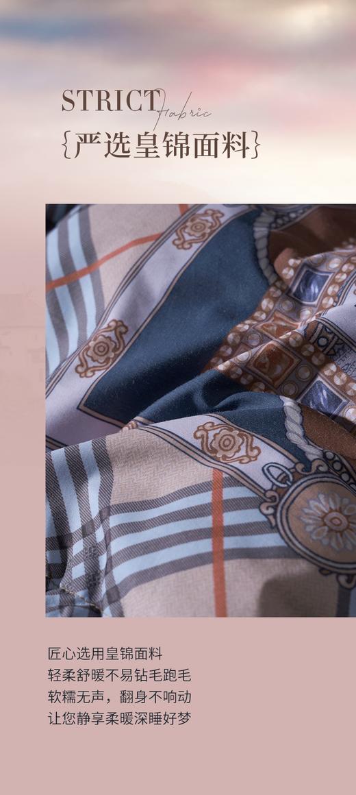 富安娜   匈牙利进口羽绒冬厚被  杰诺斯克 商品图4