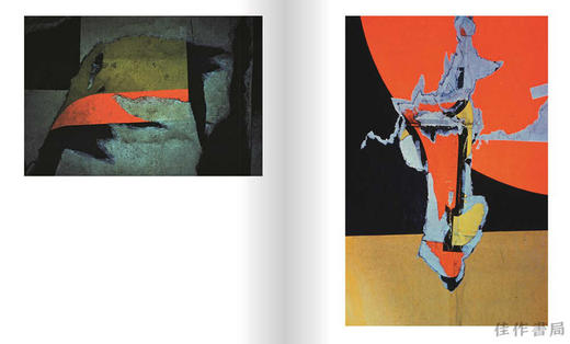 Ernst Haas: Abstract / 恩斯特·哈斯：抽象 商品图4