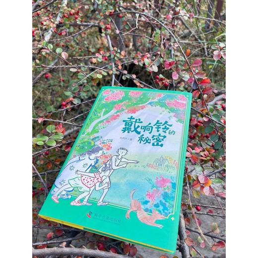 戴响铃的秘密 商品图4