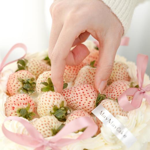 白い恋人【A4971】 商品图4