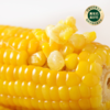 秋天的味道有机糯黄玉米10穗礼盒 商品缩略图3