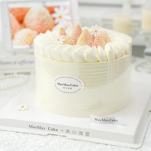 淡雪・春日和光【A4972】 商品图2