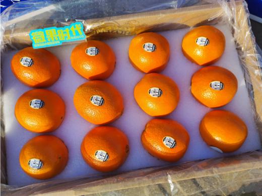 suukist橙子礼盒 商品图4