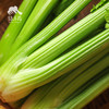生态西芹 | 合作生产*Ecological celery| Partner Production 商品缩略图2
