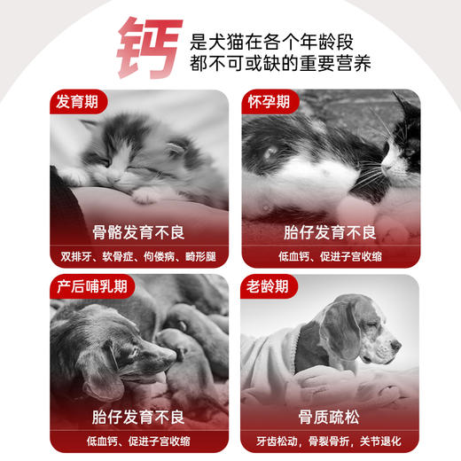 雷米高多维三效液体钙强力钙强力补-14宠物营养补剂 商品图1