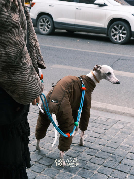 【18周边商店】宠物易拉罐背包（无牵引绳）/宠物牵引绳 商品图4