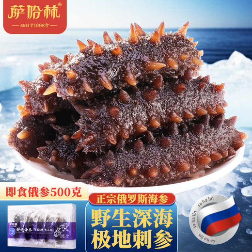 【年货节】俄罗斯海参干货萨哈林 鲜炖+鲜发  礼盒装 俄罗斯进口海参 商品图0