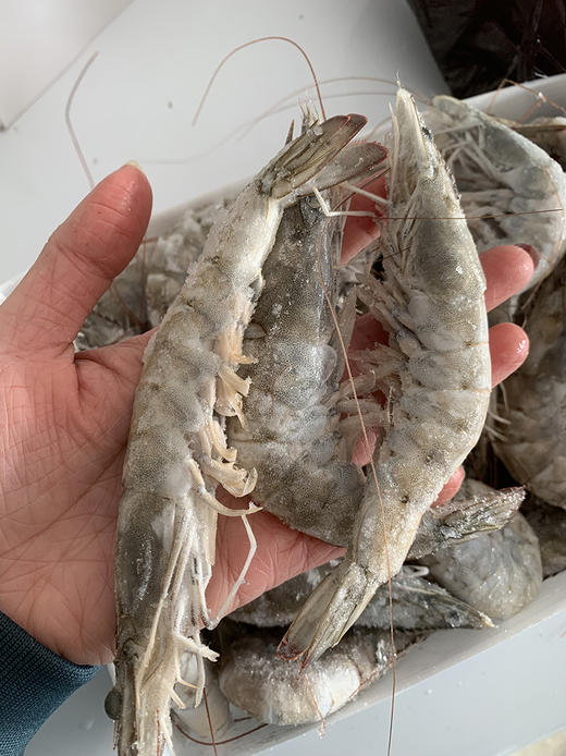 【分仓直发包邮】海捕大虾盐冻净重3斤+（500g/20-25头） 商品图2