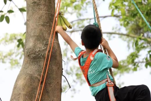 神奇校车【寒假博物营】 商品图2