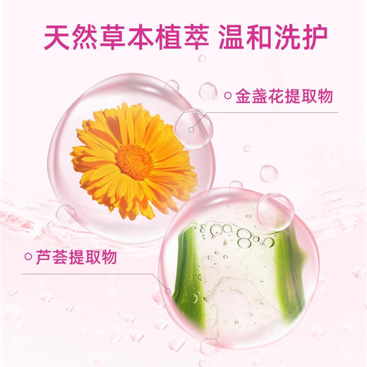 【59元2瓶】WICKLE内衣洗衣液孕妇抑菌清洗液去血渍洗内裤专用液WH-WC2001/2003/WH-WC3038 商品图4