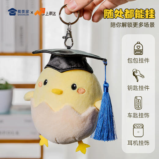 【毕业蛋钥匙扣】可定制创意毛绒钥匙扣包包挂饰挂件毕业送礼礼品礼物 商品图6