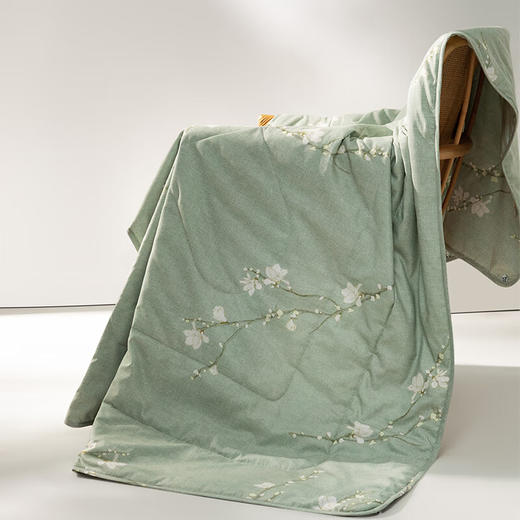 BOSS HUGO BOSS印花轻柔被HBXW-057 商品图0