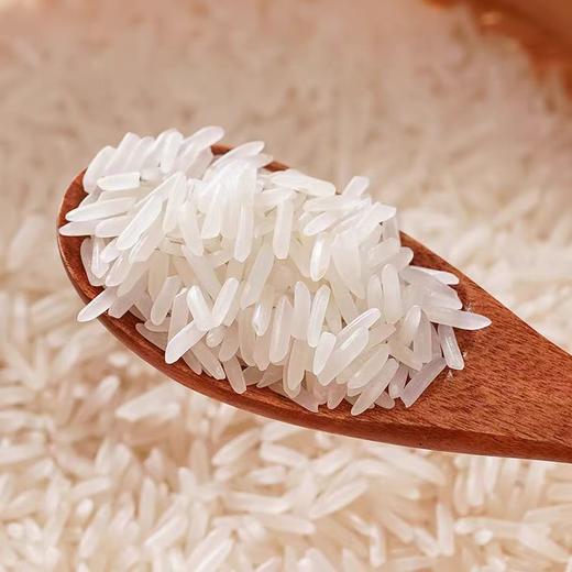 聚福源 岭南澳丝粘米5kg 商品图3