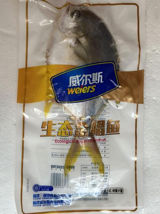 严选 | 三鱼开泰 年年有鱼大礼包 大黄花500g+海鲈鱼500g+金鲳鱼500g【赠400g盐田熟虾】 商品图5