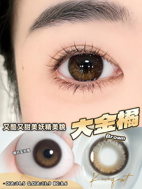 谐美 年抛 大金橘/大黑莓（高光款棕黑粉 14.5 最高1000度）