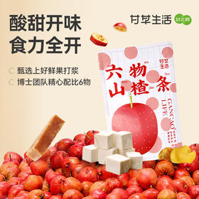 甘之颐 六物山楂条100g/袋 陈皮鸡内金风味 休闲食品 解馋零食 办公室零食