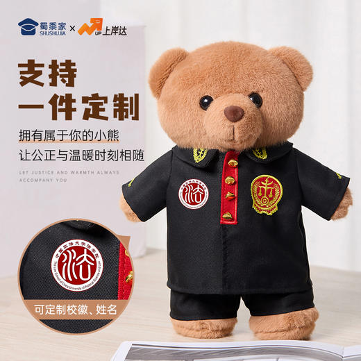 【法官站姿熊】可定制创意毛绒职业小熊公仔儿童玩具服装可脱送礼礼物 商品图1