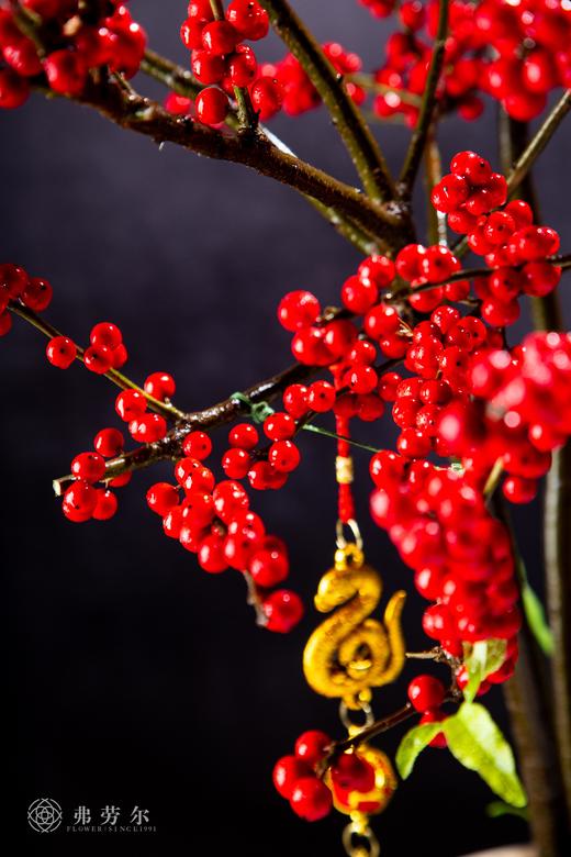 万事胜意 商品图2