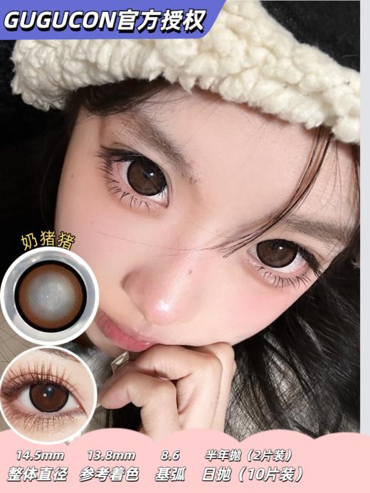 GUGUCON 奶猪猪 半年抛/日抛可选  镜片直径：14.5mm 自然大直径 狗狗眼 三明治工艺 商品图0