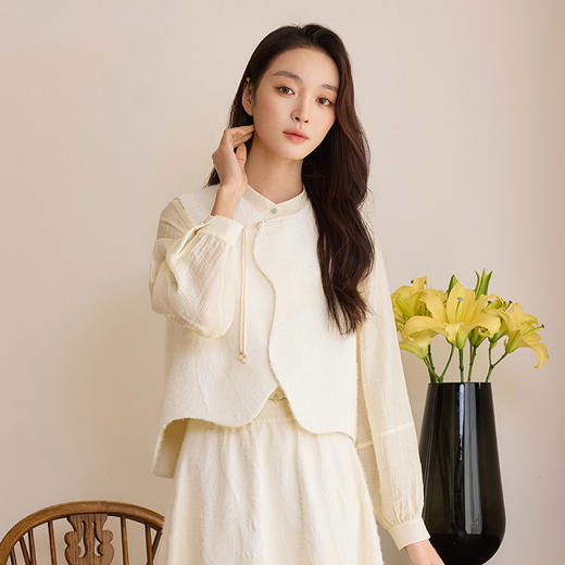 玳莎盘扣新中式马甲女2025年春季新款国风提花设计感马甲背心上衣  FA37001 商品图1
