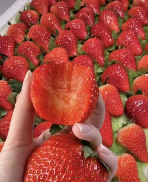 丹东草莓（板） 商品图1