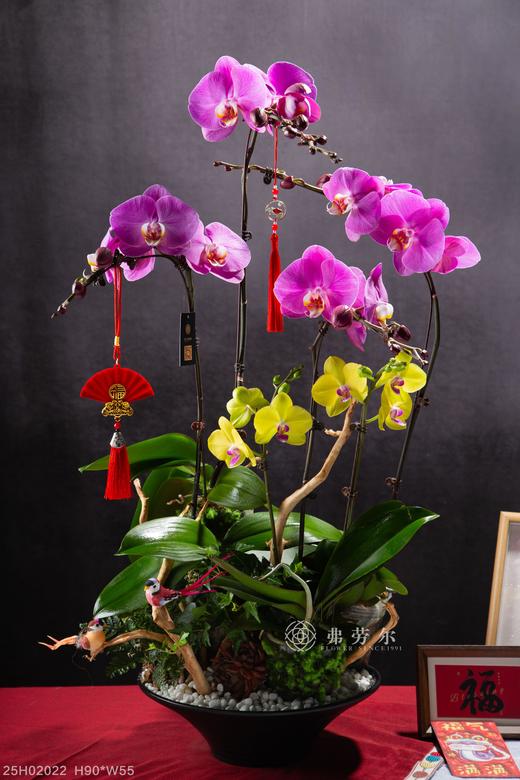 福如东海 商品图0