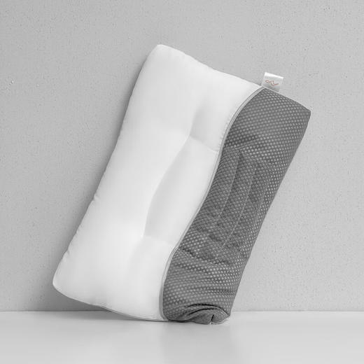 水星家纺_望舒荞麦枕 商品图0