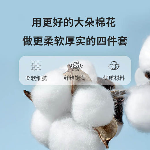 TY 恒源祥全棉四件套加厚耐用超软亲肤床品套件双人 （被套2*2.3m）闲意【鲜享3.0】 商品图1