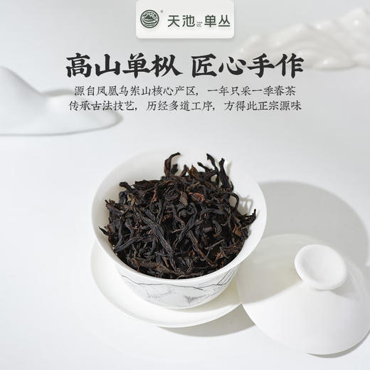 天池丨蜜兰香 金秋银月 凤凰单丛 乌龙茶 210g 礼盒装 商品图4