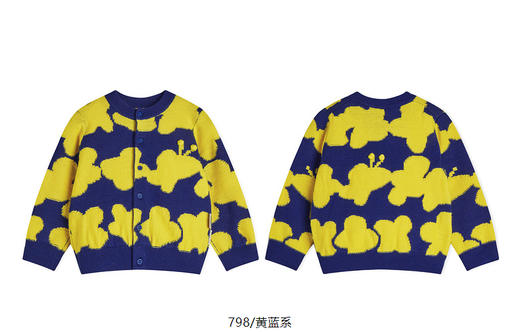 jnby  25年春款     短款开襟毛衫  YP1311610 商品图11