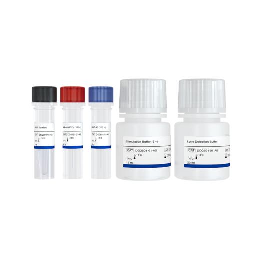 Add&Read cAMP Detection Kit 商品图0