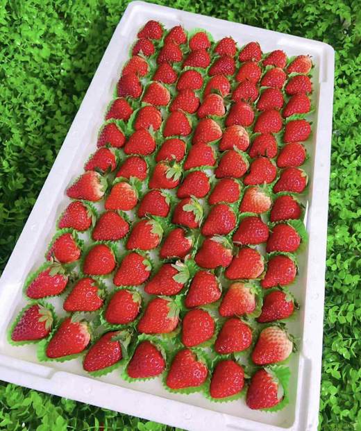 丹东草莓（板） 商品图0