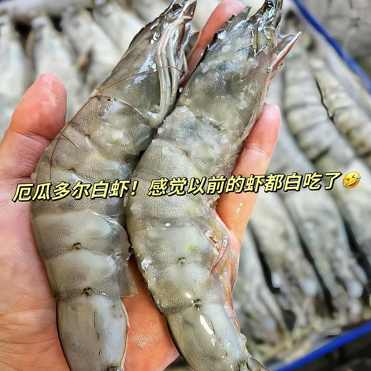 北海湾厄瓜多尔盐冻大虾 净重1.65kg/盒（30/40） 商品图9