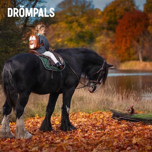 瑞典Drompals 儿童书包幼儿园书包卡通可爱儿童背包潮娃户外出行必备设计师品牌 商品图5