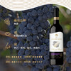 杰卡斯澳金系列梅洛/赤霞珠干红葡萄酒750ml 酒体饱满口感丰富 011011/010392 商品缩略图2