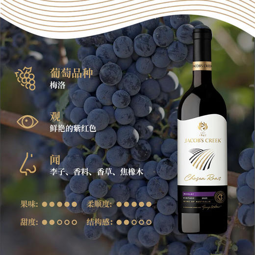 杰卡斯澳金系列梅洛/赤霞珠干红葡萄酒750ml 酒体饱满口感丰富 011011/010392 商品图2