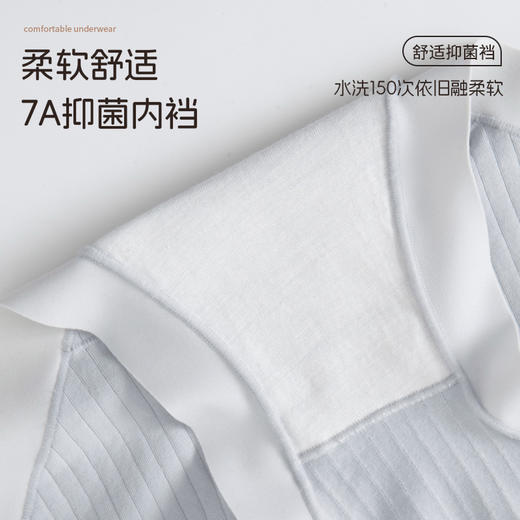【7A抑菌】 洁丽雅3条装中高腰棉质女士内裤高弹亲肤提臀抑菌底裆内裤女 商品图4