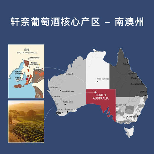 轩奈806干红葡萄酒 澳大利亚进口红酒 甄选西拉葡萄酿造 稀有16度红酒 商品图2