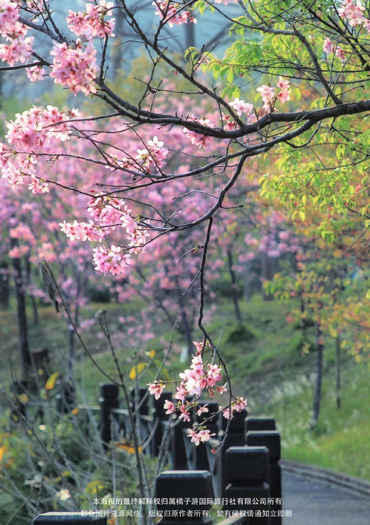 【清远高岗“斗福”节】纯玩2天 商品图1