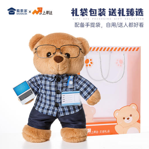 【程序员站姿熊】可定制创意毛绒职业小熊公仔儿童玩具服装可脱送礼礼物 商品图5