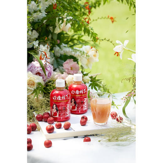冠芳山楂树下山楂汁350ml*12瓶 商品图2