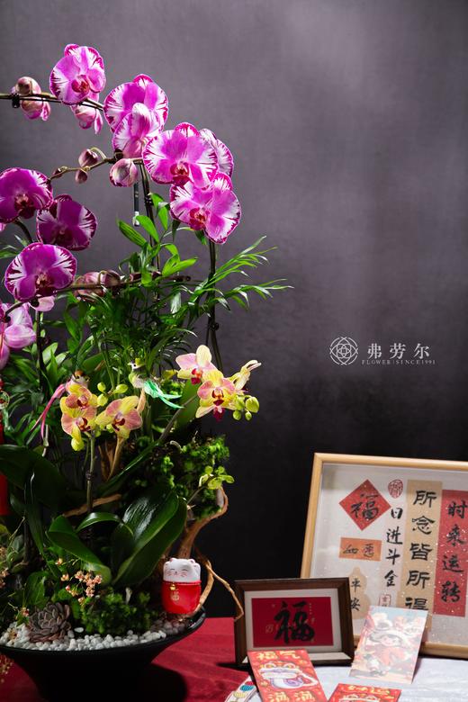 财源广进 商品图1