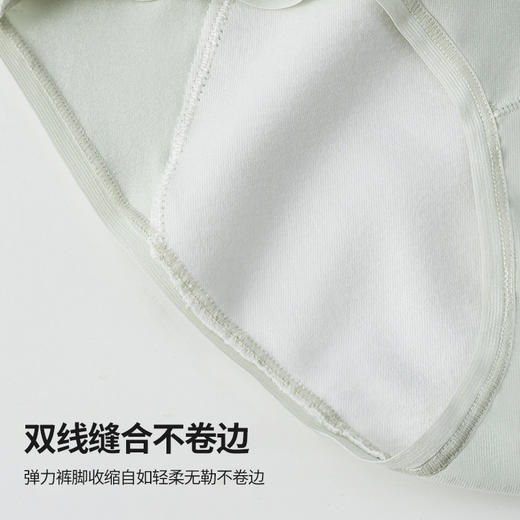 洁丽雅生理裤中腰纯棉内裤女经期防侧漏亲肤纯棉加长底裆女士内裤 商品图5