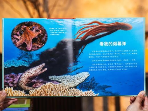 【专享6大丰富赠品】《小牛顿科普绘本馆》（全30册） 商品图7