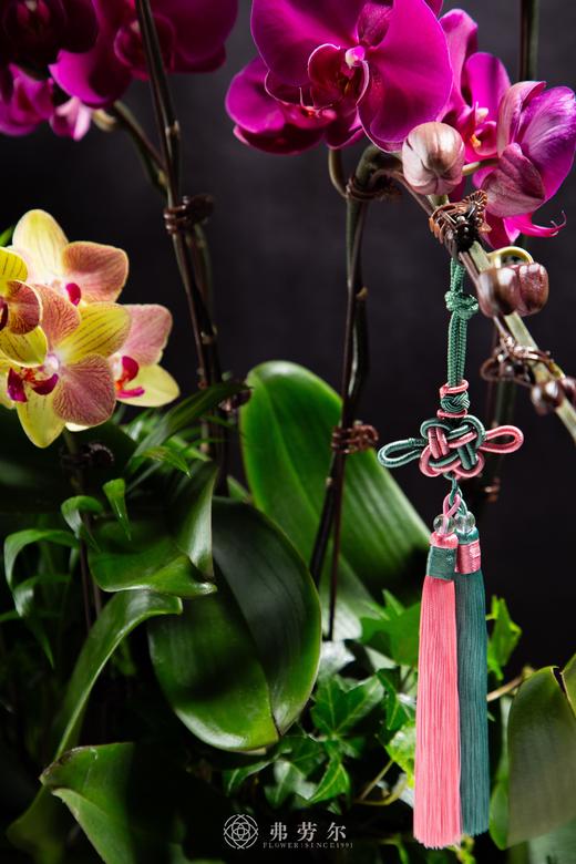 日进斗金 商品图2