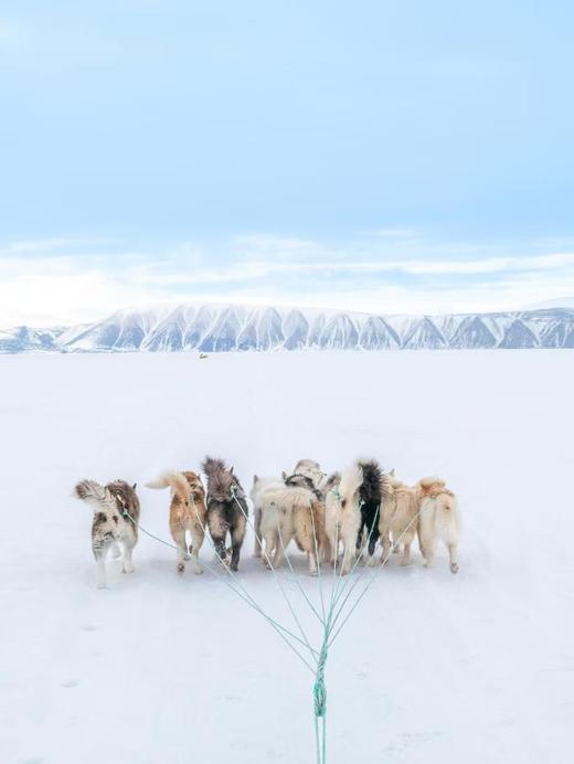 挪威 个人旅游签证·代做机票酒店行程单+陪同办签+支持商务、探亲访友 商品图4