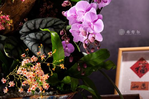 红红火火 商品图2