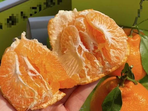 蜜露完熟爆浆春见 商品图7