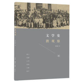 文学史微观察 李洁非  生活·读书·新知三联书店旗舰店